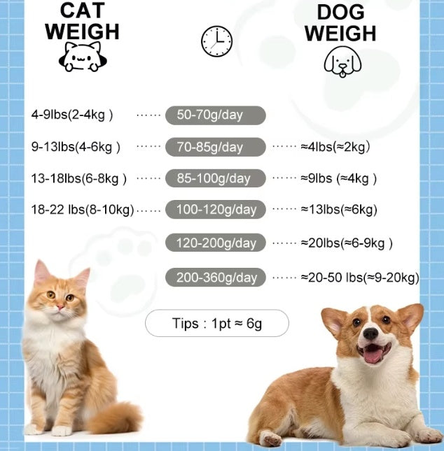 HavenPaws EverFresh™ Smart Pet Feeder
