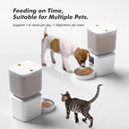HavenPaws EverFresh™ Smart Pet Feeder