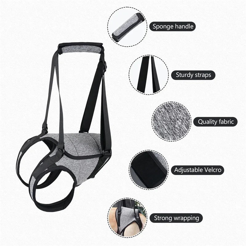 HavenPaws LiftEase™ Support Harness