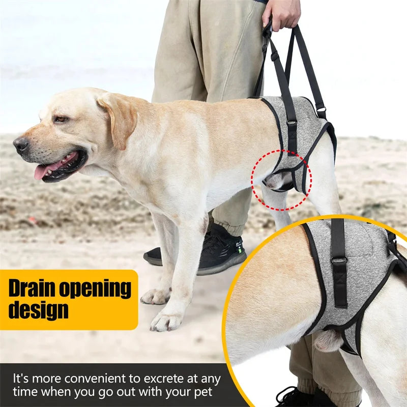 HavenPaws LiftEase™ Support Harness