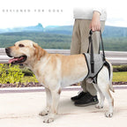 HavenPaws LiftEase™ Support Harness