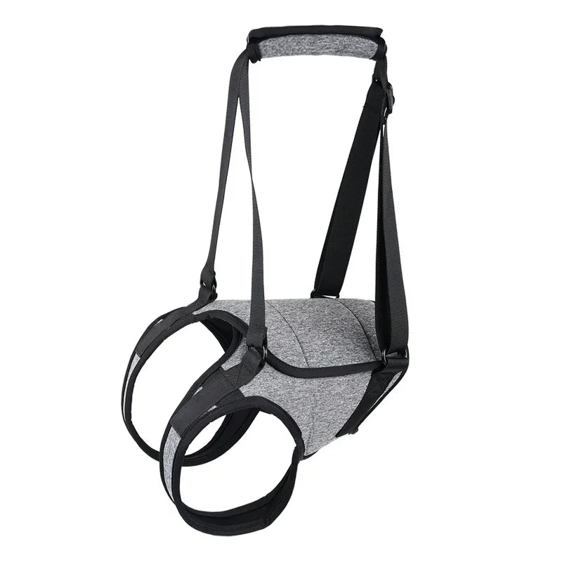 HavenPaws LiftEase™ Support Harness
