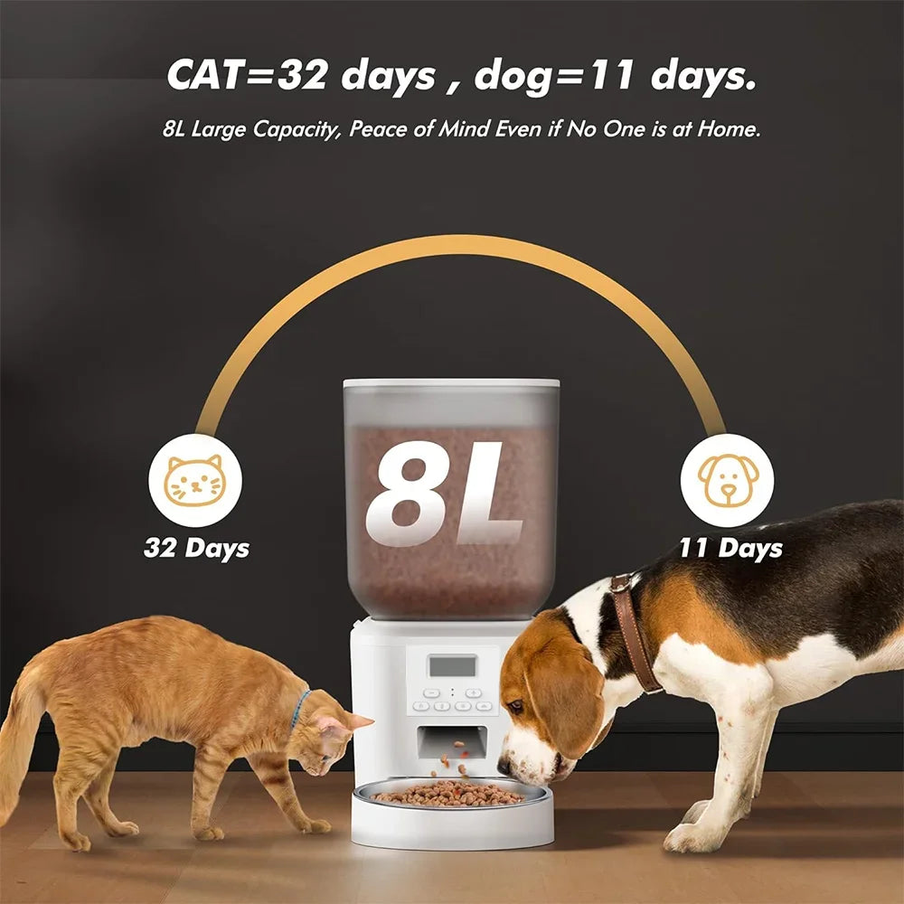 HavenPaws EverFresh™ Smart Pet Feeder
